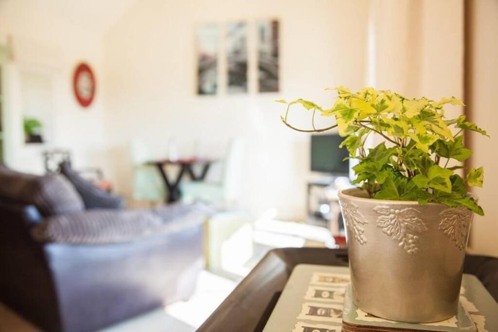 Secluded Romantic Cotswolds Barn - Sleeps 2 To 4 - Near Cirencester - Dog Friendly Villa Kemble Buitenkant foto